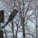 Модерно улично осветление в Сопот