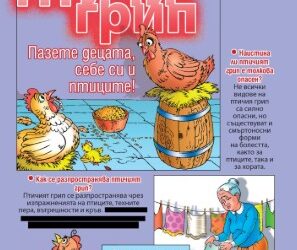 Птичи грип в Пловдивско – 10 км надзорна зона