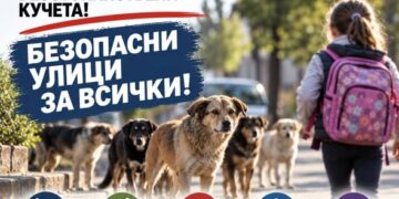 Баня иска приют за кучета от Кабаиванов
