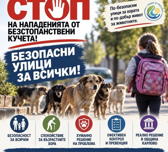 Баня иска приют за кучета от Кабаиванов